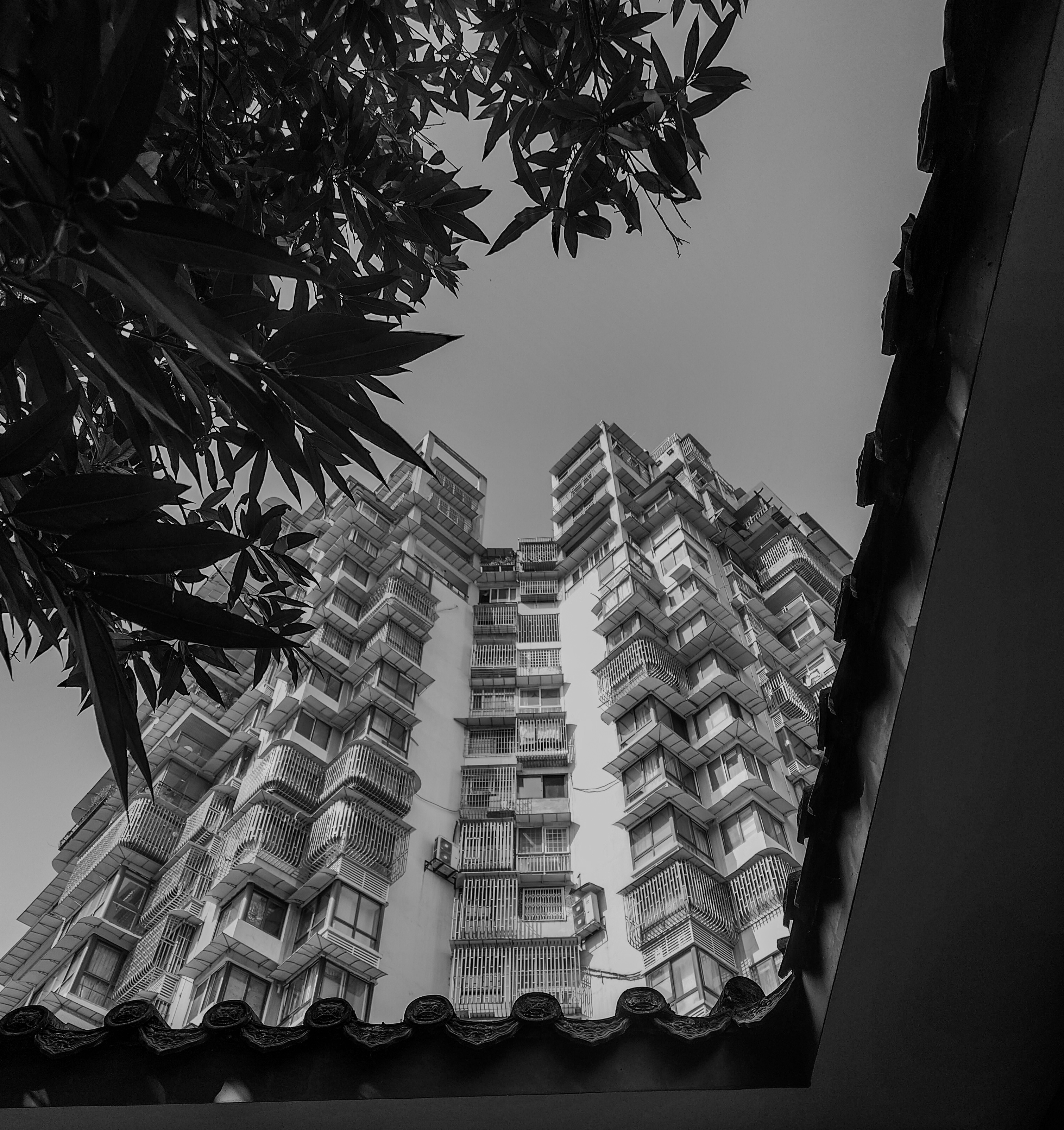 Digital photograph 2