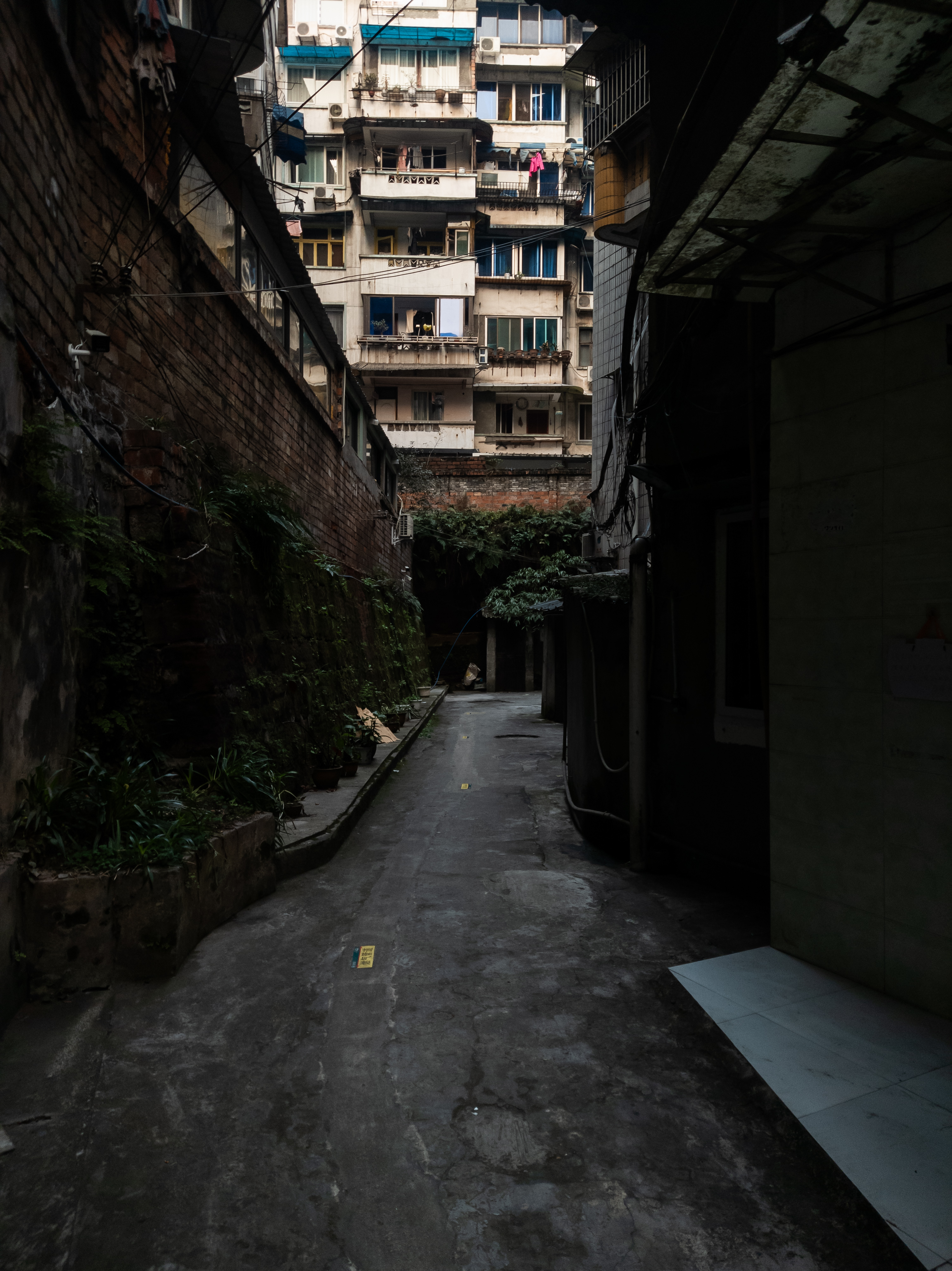 Digital photograph 3