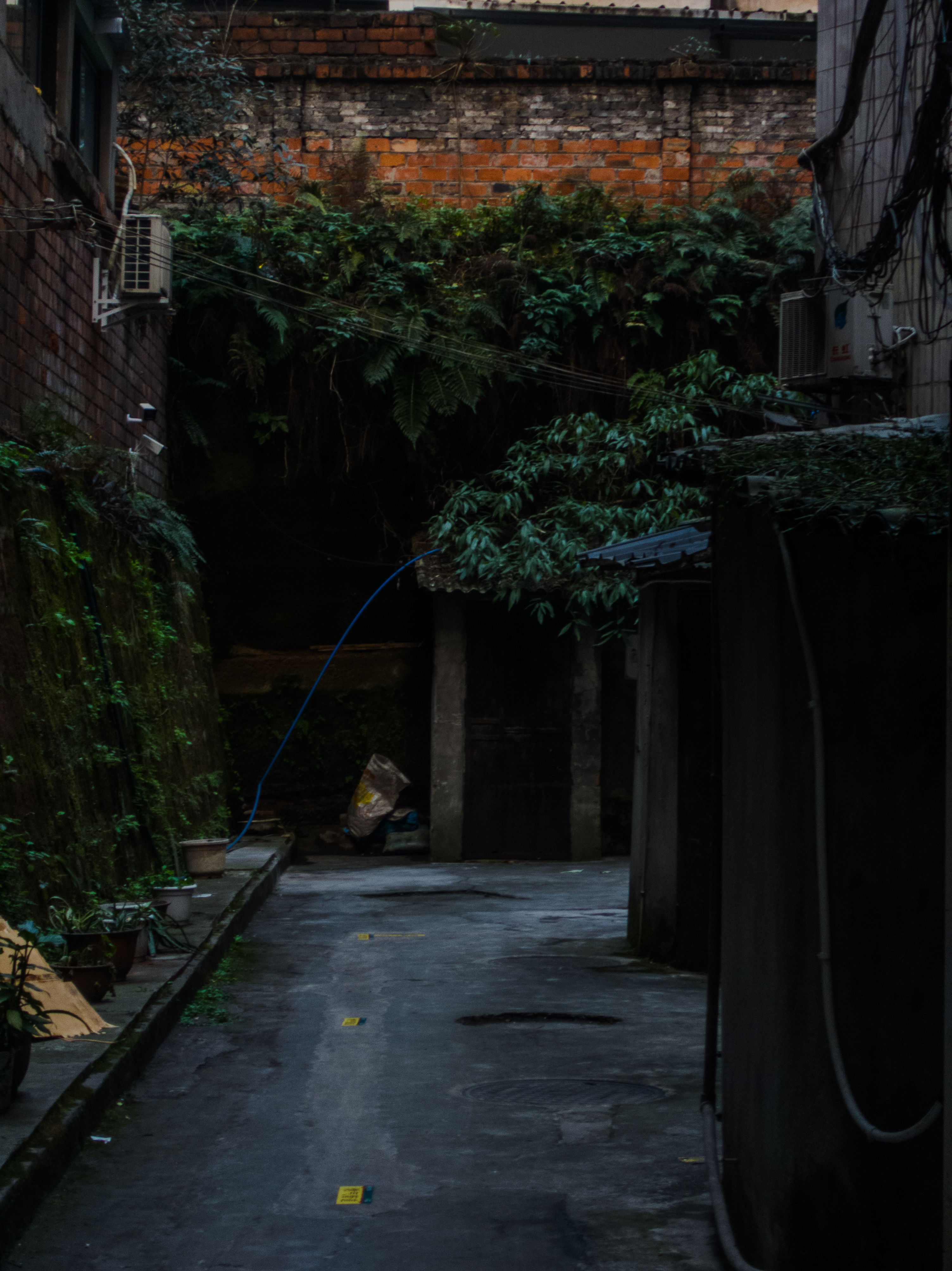 Digital photograph 6