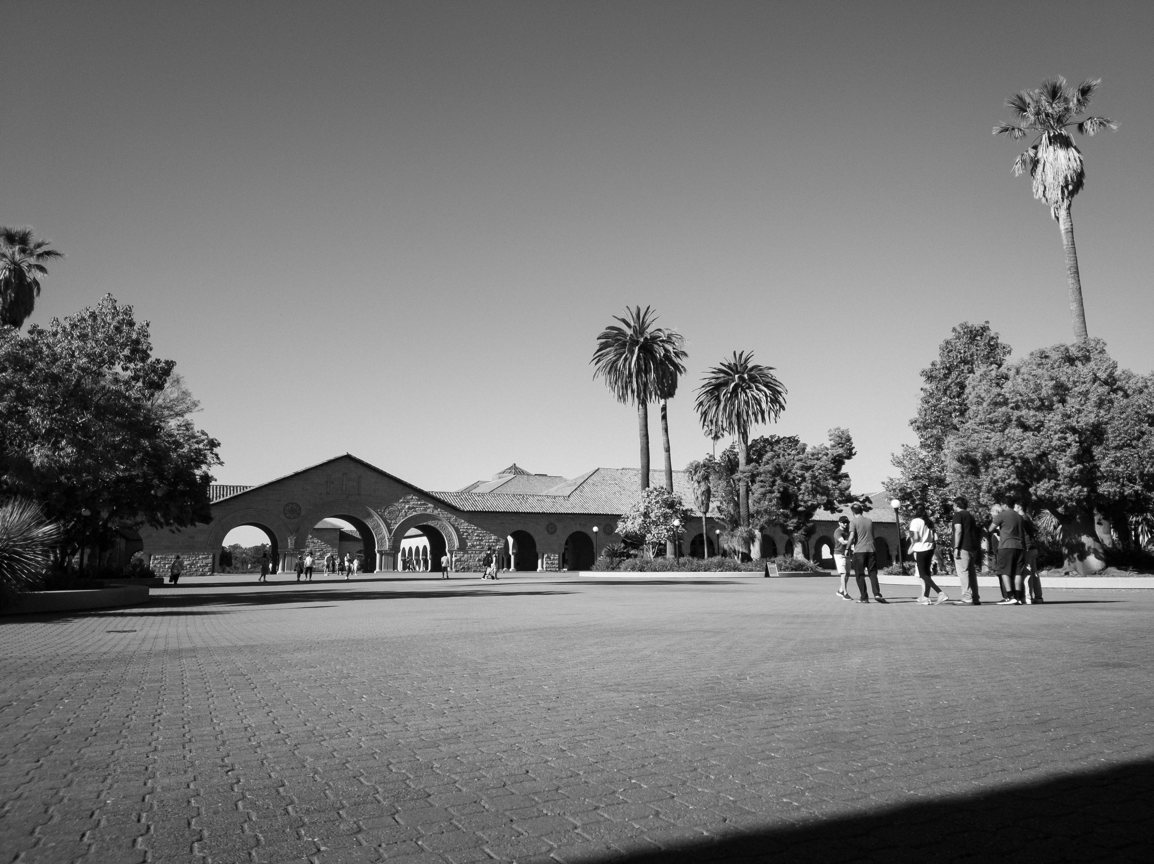 Digital photograph 4