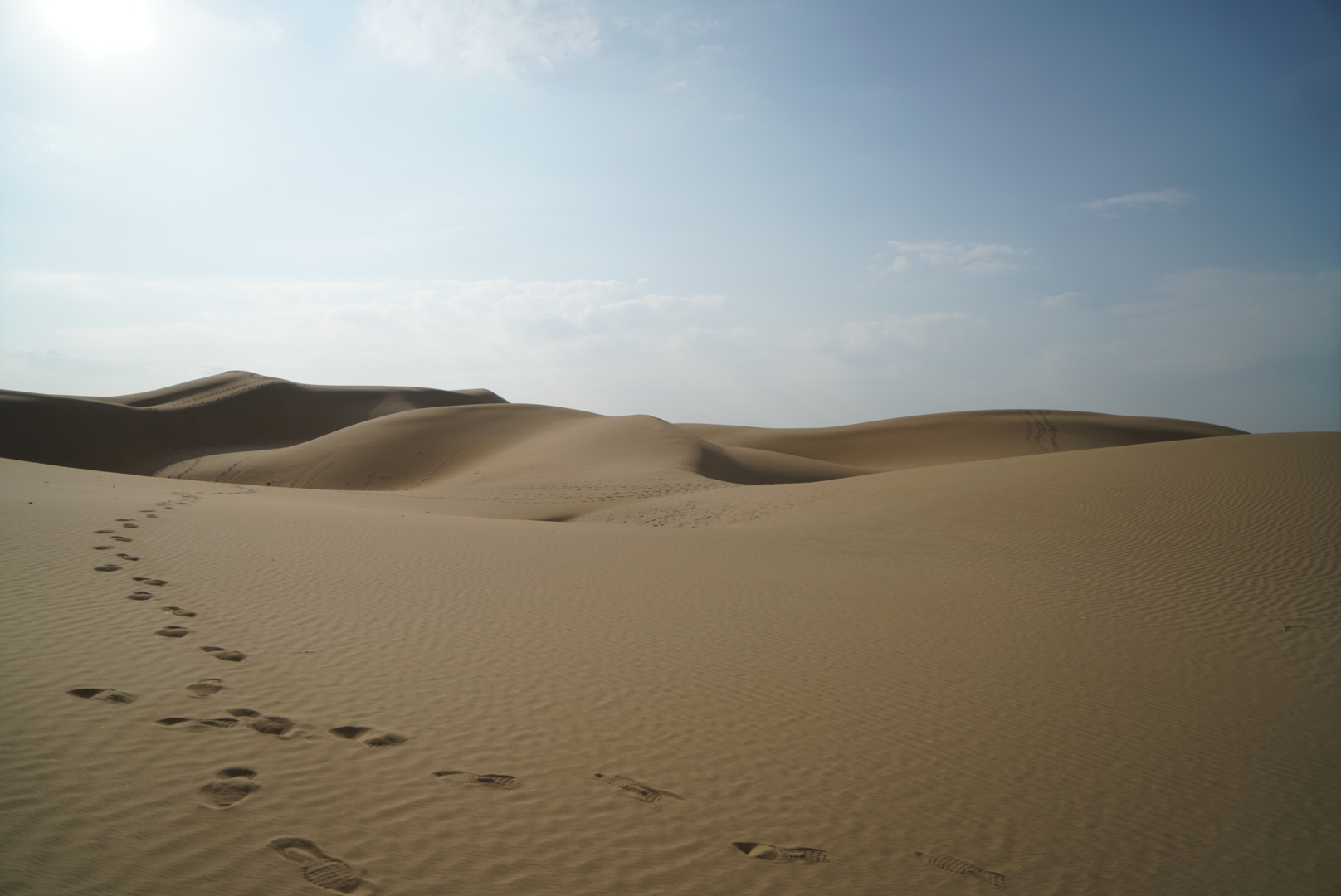 Digital photograph 8